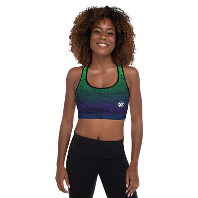 NORTHERN LIGHTS-Sierra Nevada Map Sports Bra Front Mockup | TRVRS Outdoors hiking, trail running clothing, mountaineering apparel